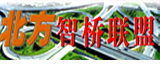 北方智橋聯(lián)盟